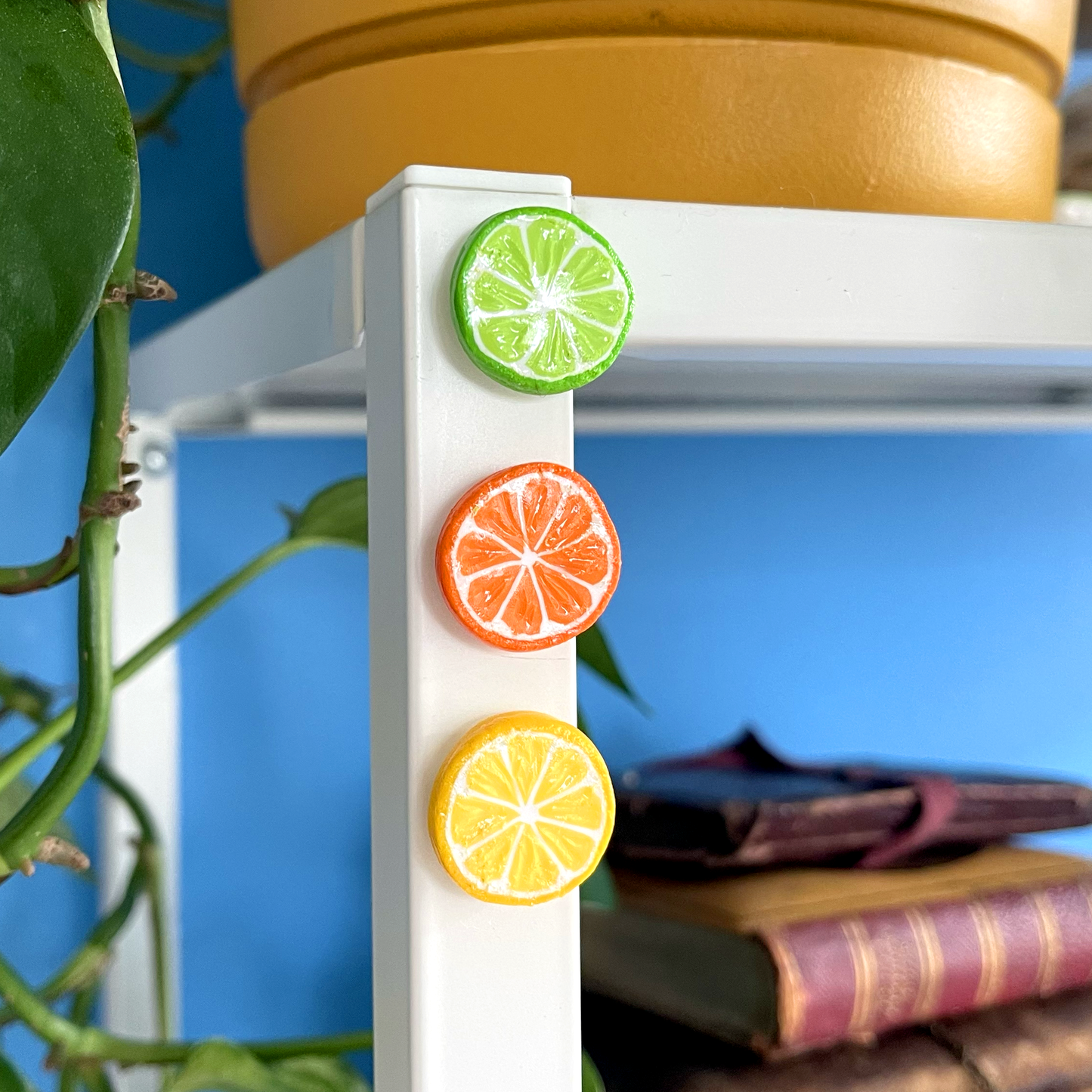 CITRUS SLICE MAGNET