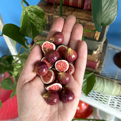 FIG CHARMS ***SINGLE*** EARRING