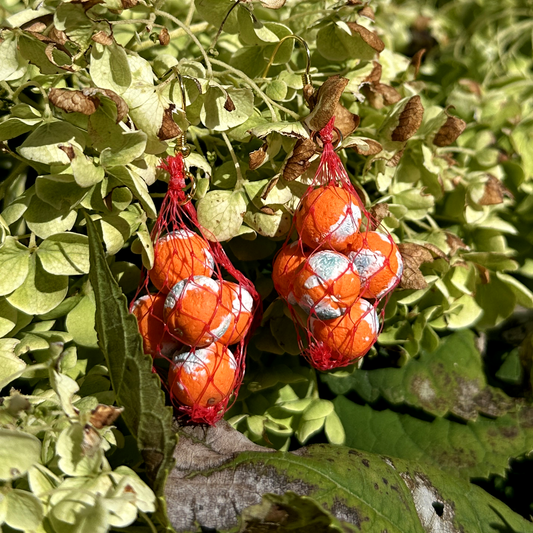 MOLDY ORANGE PRODUCE BAG EARRINGS