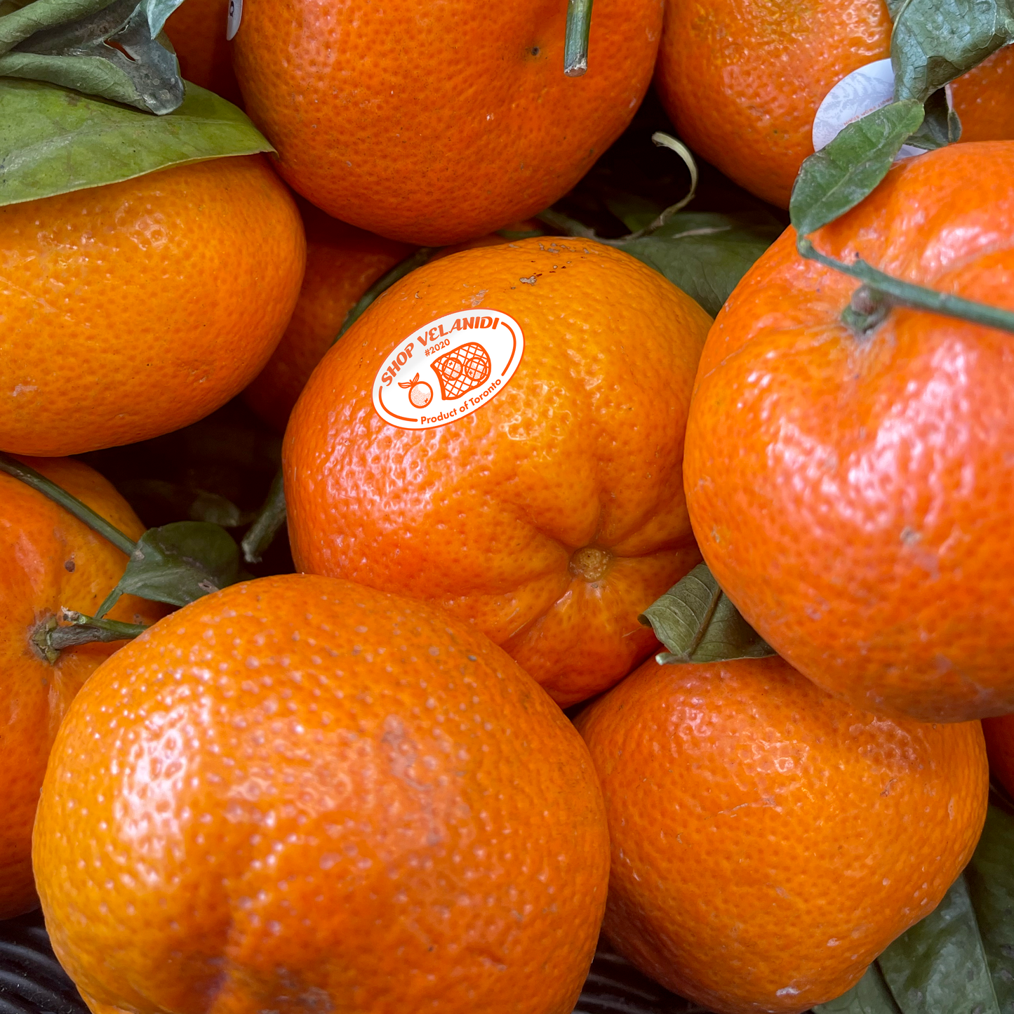 SHOP VELANIDI ORANGE FRUIT STICKER T-SHIRT